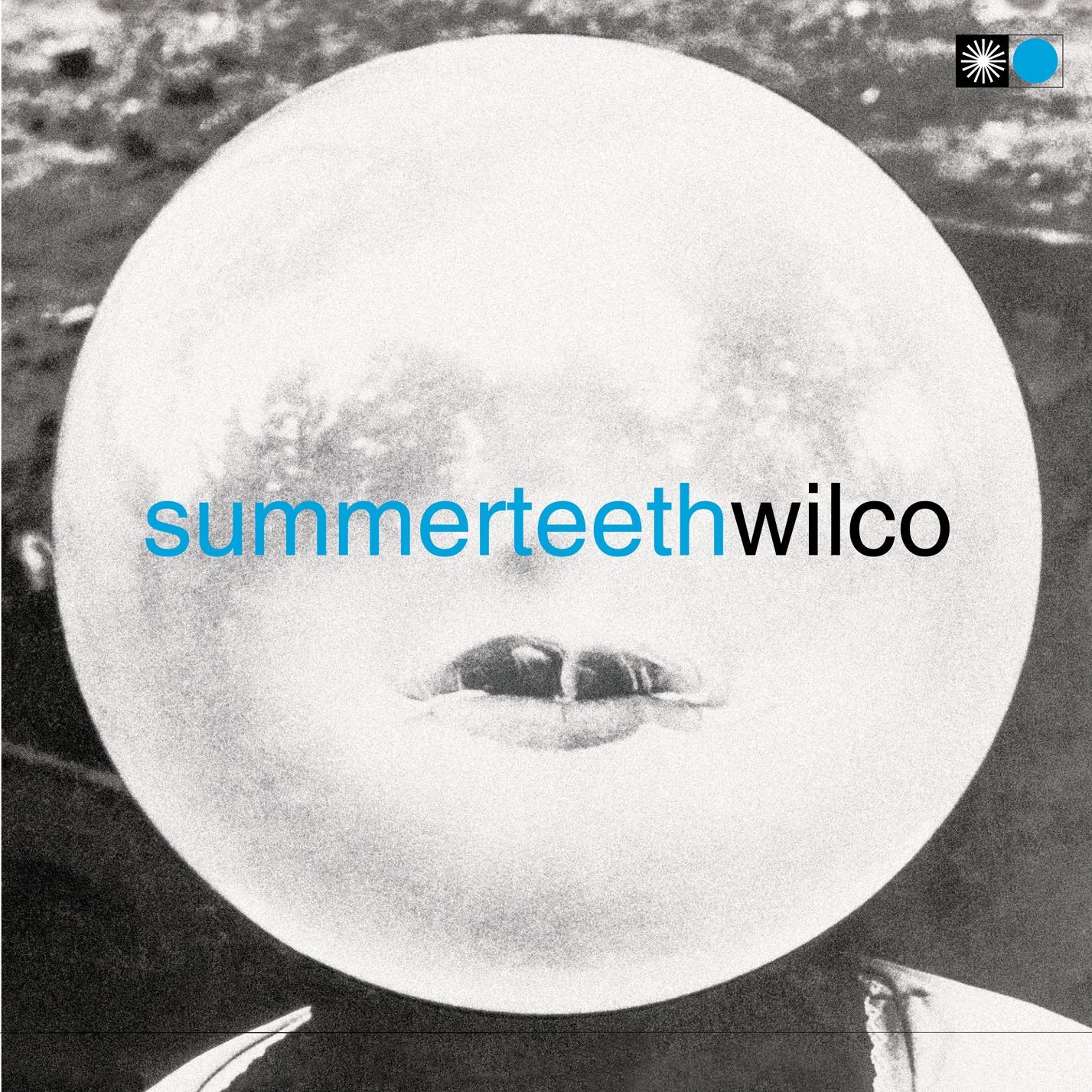 Wilco ‎– Summerteeth 