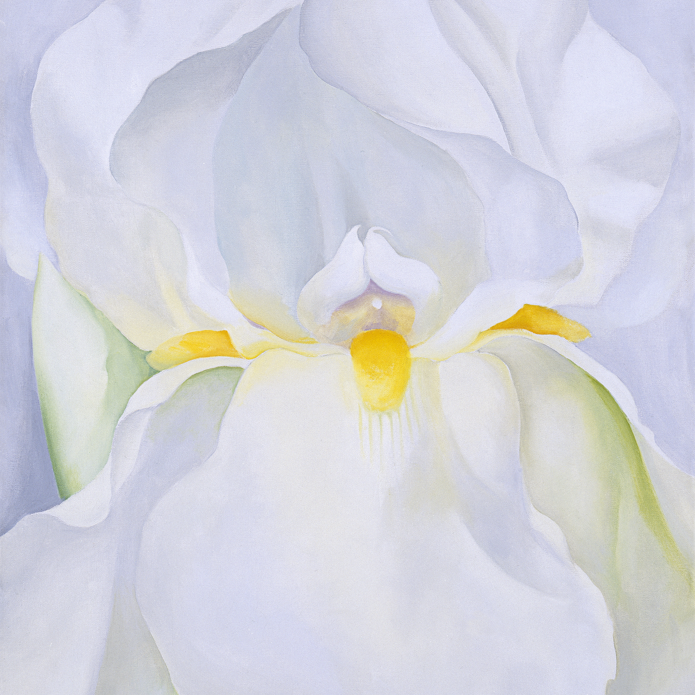 Georgia O'Keeffe, White Iris nº 7 (detail), 1957