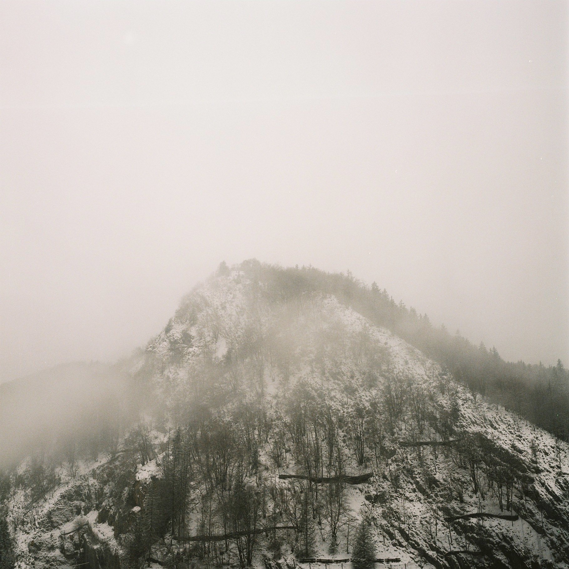 Photo : Sébastien Berlendis 