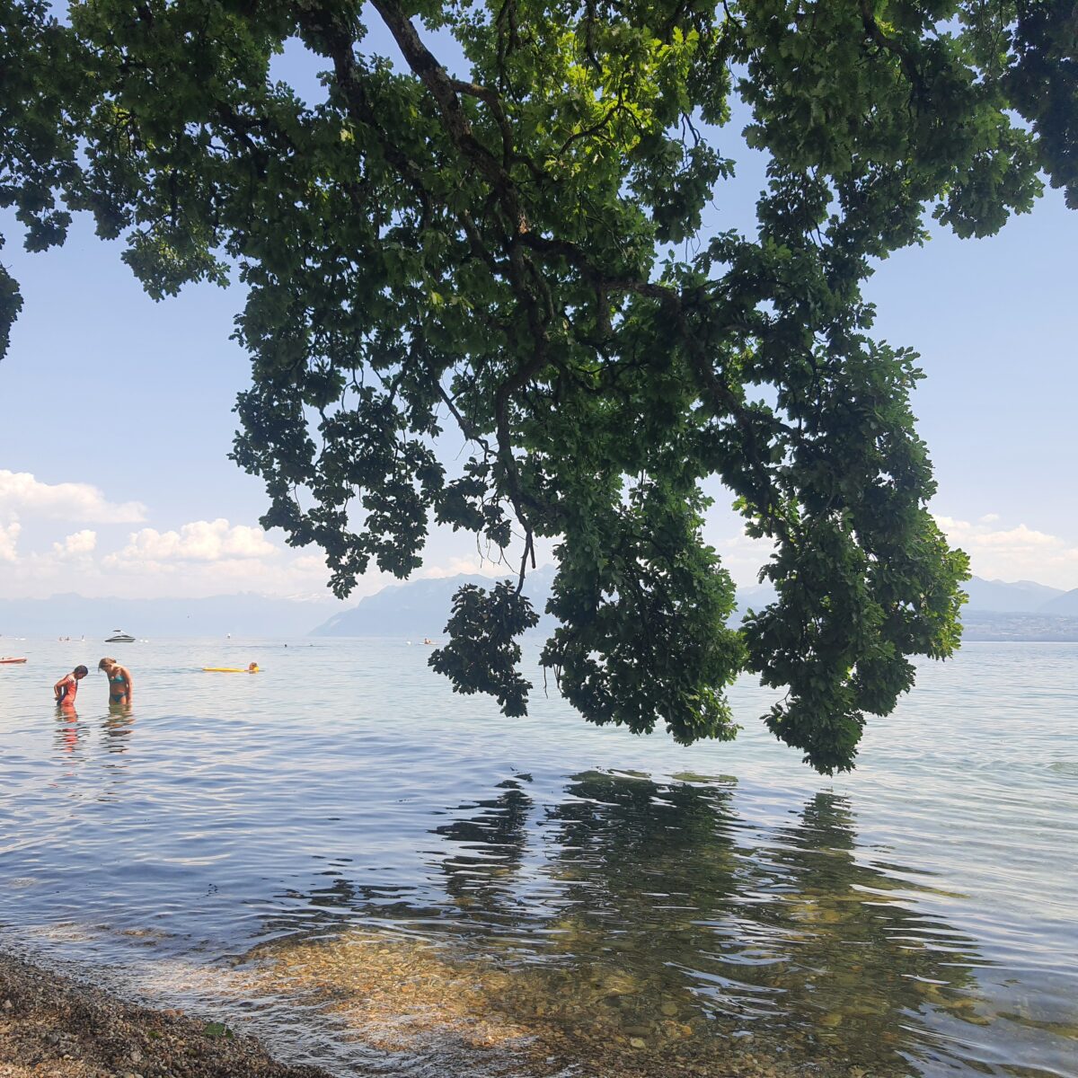 Photo : Sébastien Berlendis